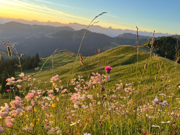 Others 5, Gipfel Stuben, Oberallgäu