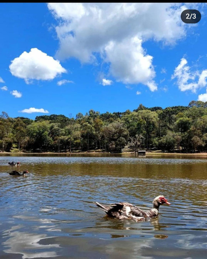 Others 2, Recanto das Folhas - Oasis Pousada, Cambará do Sul