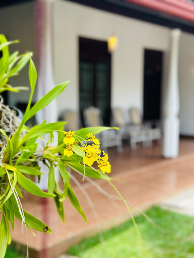 Others 3, Casa Winnie, Kelaniya