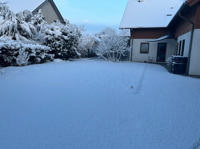 Others 4, Pension Zum Paradies, Rhein-Pfalz-Kreis