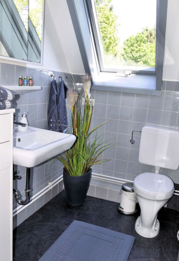 Bathroom, Holiday Apartment Green House, Herzogtum Lauenburg