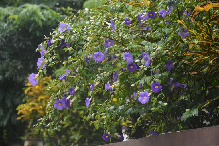 Others 3, The Grand White House - Private Villa, Idukki