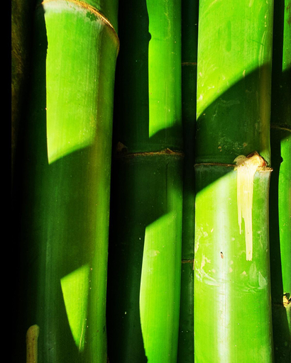 Others 3, GREENHOUSE Sana, Macaé
