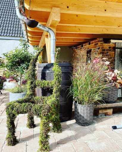 Others 4, SEENLANDHOF, Oberspreewald-Lausitz