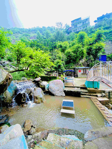 Others 4, Prem Valley, Solan