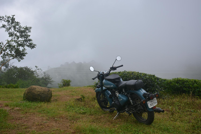Others 5, The Grand White House - Private Villa, Idukki