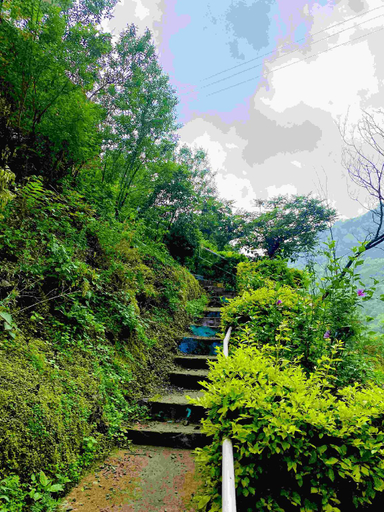 Others 2, Prem Valley, Solan