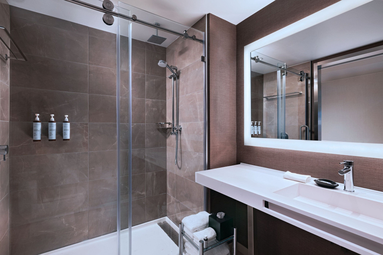Bathroom 4, AC Hotel By Marriott Waco Downtown, McLennan