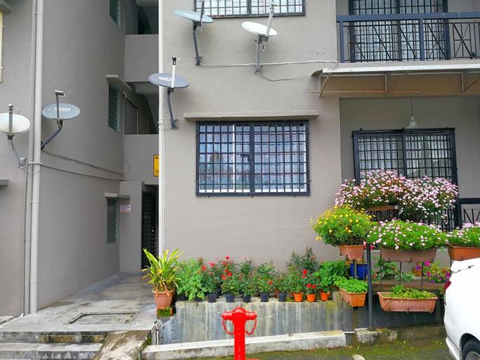 Cosy Cameron, Cameron Highlands
