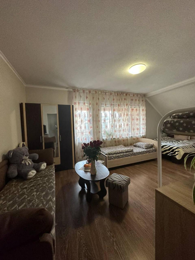 Others 3, VIP hostel, Mukachivs'ka