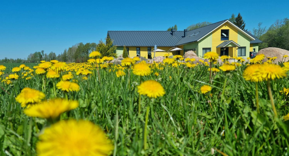 Auksi motell, Saarepeedi
