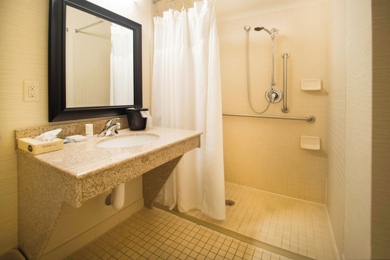 Bathroom 5, Fairfield Inn and Suites by Marriott Burley, Minidoka
