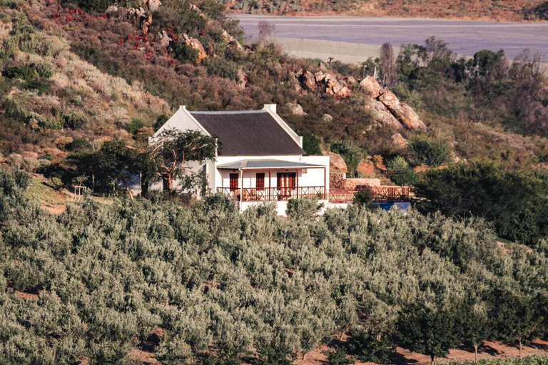 Exterior & Views 2, Orange Grove, Cape Winelands