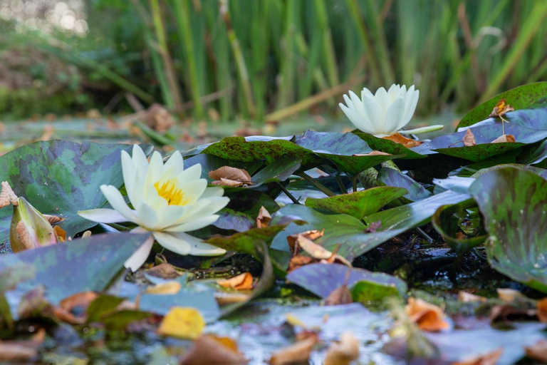 Others 3, Logies-Spier, Westerveld