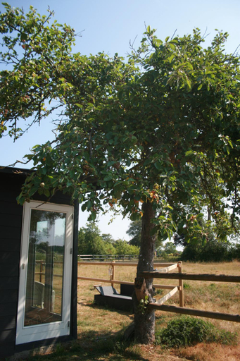 Others 3, Falsterly Glamping, Guldborgsund