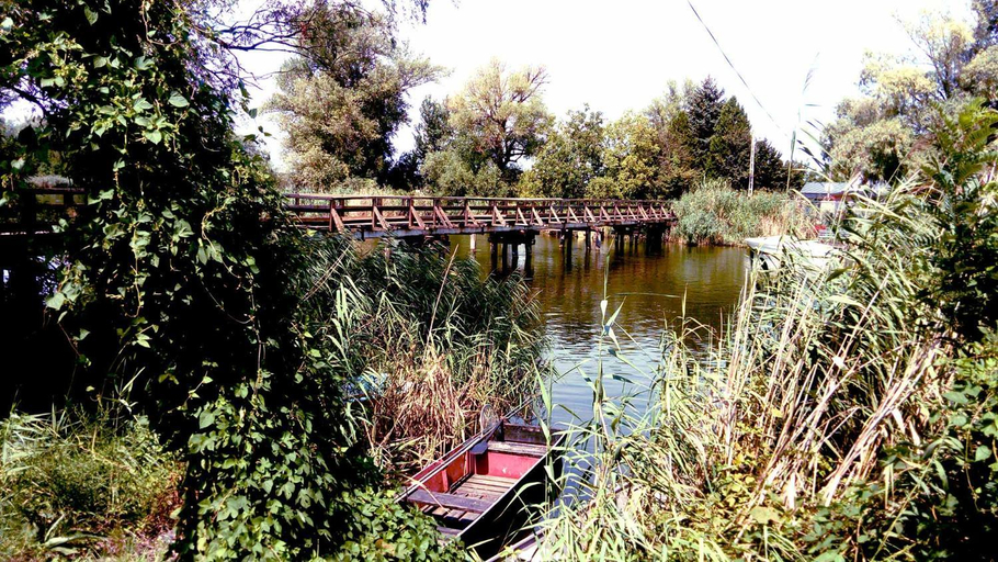 Surrounding environment 2, Tassi Halaszcsarda - Suger haz, Kunszentmiklós