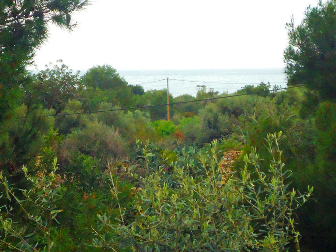 Others 3, Edison bungalow LEK, Castellón