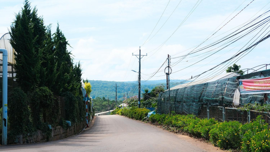 Others 5, Da Quy Harmony Homestay, Đà Lạt
