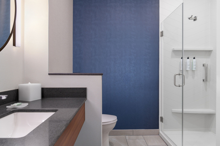 Bathroom 4, Fairfield Inn & Suites By Marriott Sioux Center, Sioux