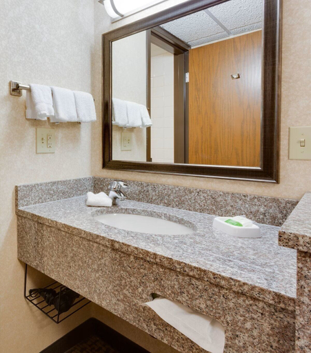Bathroom 4, Wingate by Wyndham St. Louis/Fenton Route 66, Saint Louis