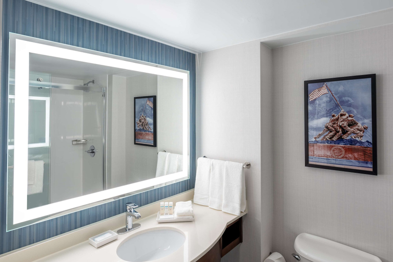 Bathroom 4, Hilton Garden Inn Arlington/Courthouse Plaza, Arlington
