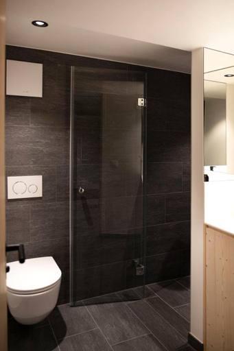 Bathroom 2, Miroir d'Argentine, Aigle