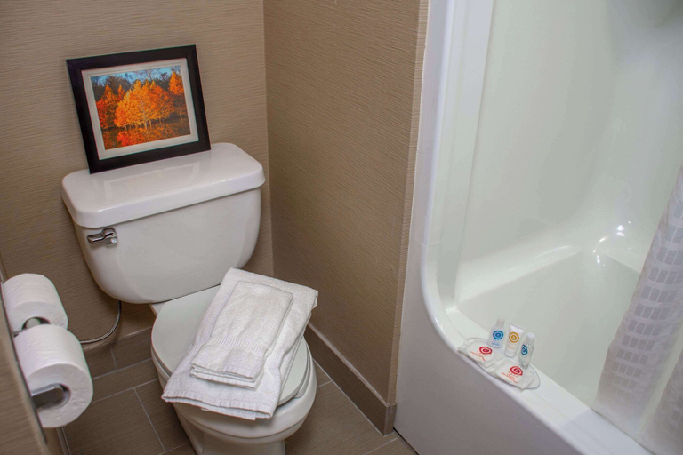Bathroom 4, Comfort Inn Dickson, Dickson
