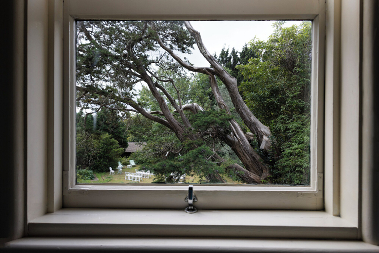 Scenery 8