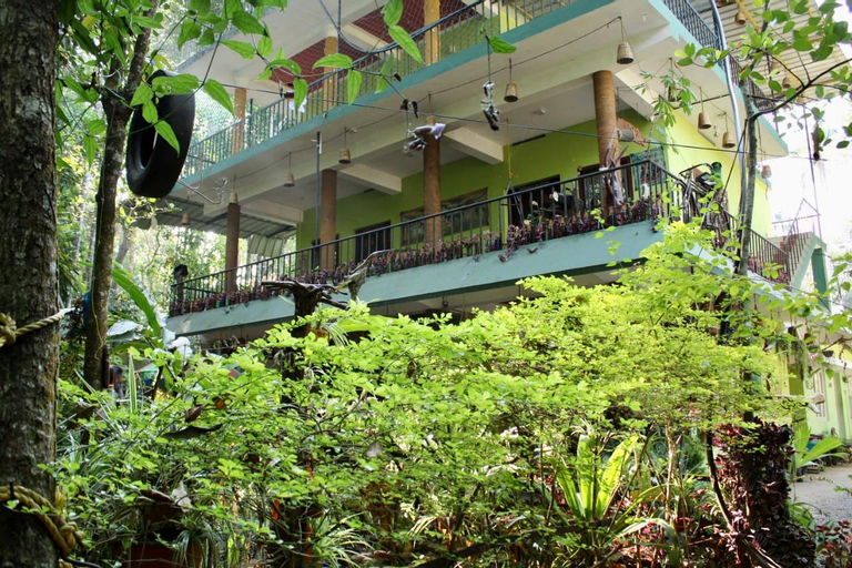 Jungleview Home Stay, Theni