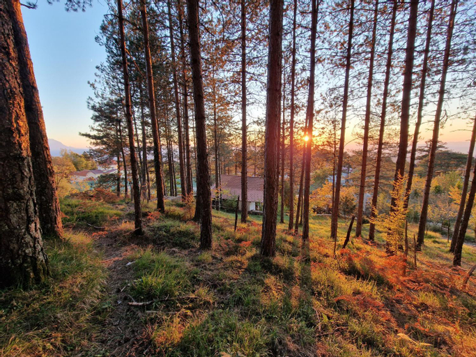 Exterior & Views 4, Bujtinat Skenderi Gjinar, Elbasanit