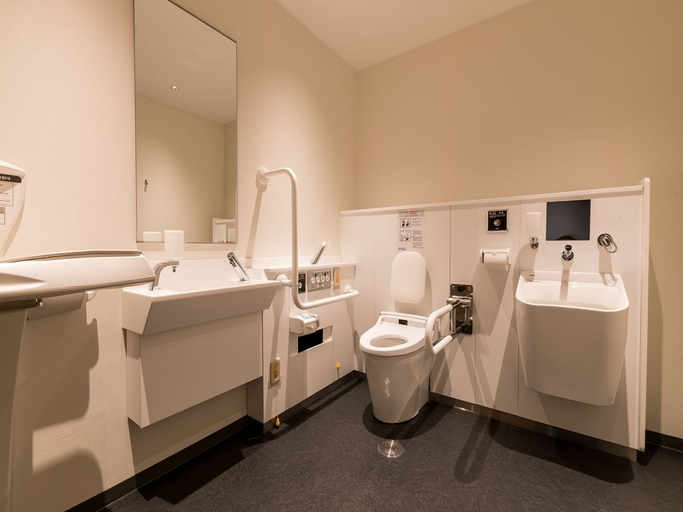 Bathroom 4, Kansai International Airport Hotel 11, Tajiri