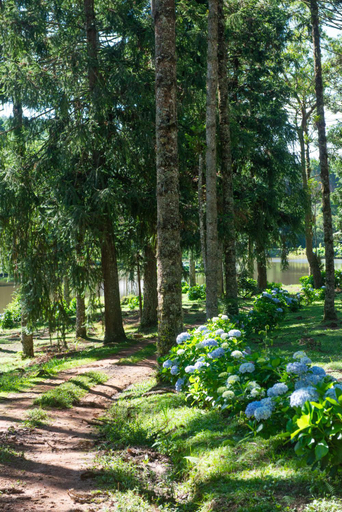 Others 4, Timber Lodge Camanducaia, Camanducaia