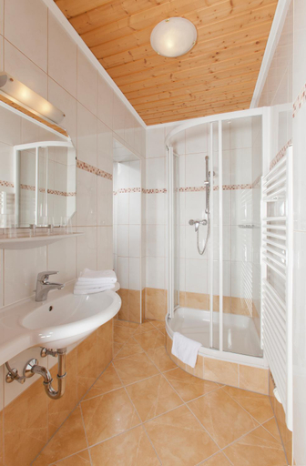 Bathroom 2, ApartHotel Holzerhof, Liezen