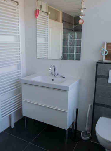 Bathroom 5, Huis Duinzicht Comfortable Holiday Residence, Bergen