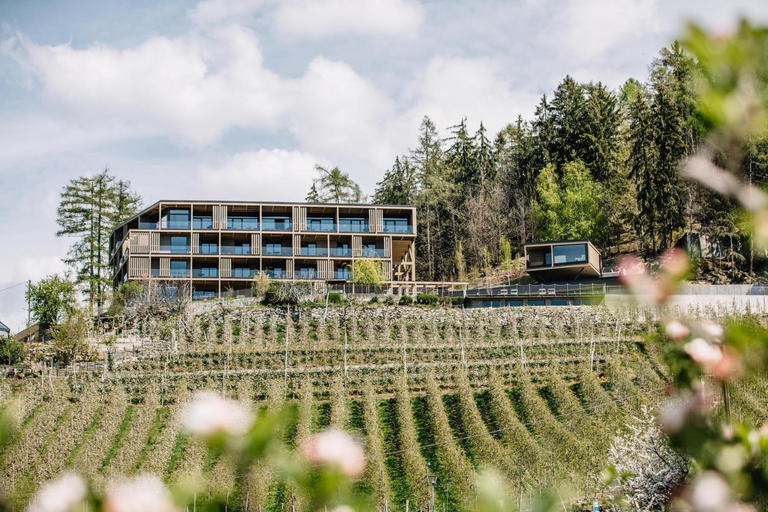 Others 5, Panoramic Suites Winzerhohe, Bolzano