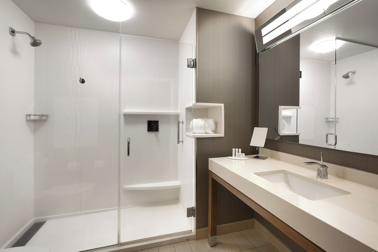 Bathroom 5, Courtyard Cedar City Marriott, Iron