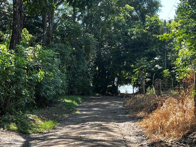 Others 5, Las Plumas de Cabuya, Puntarenas