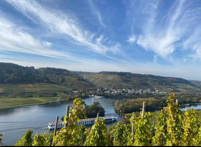 Others 5, Weingut und Gastezimmer Jorg Thul, Trier-Saarburg