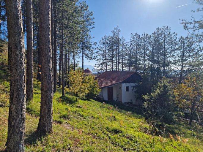 Others 4, Bujtinat Skenderi Gjinar, Elbasanit