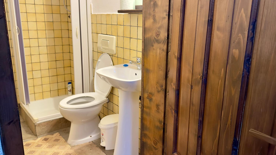 Bathroom 3, Pensiunea San Pio Sabisa, Seini