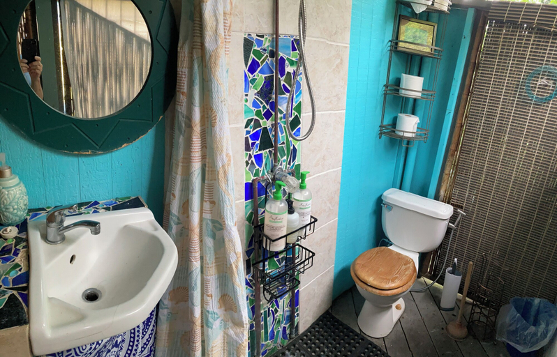 Bathroom 4, Dragonfly Ranch, Hawaii