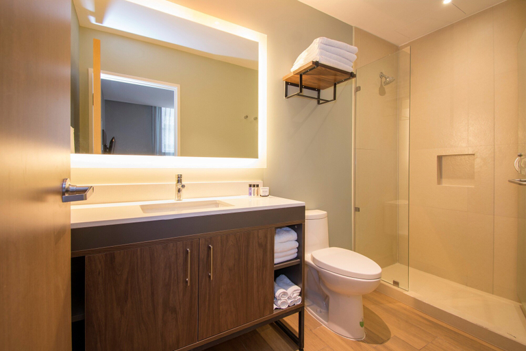 Bathroom 4, Staybridge Suites GUADALAJARA NOVENA, Guadalajara