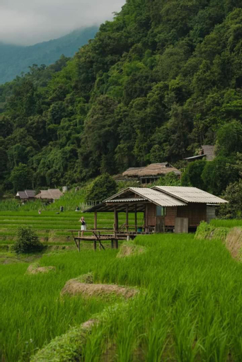 Scenery 4