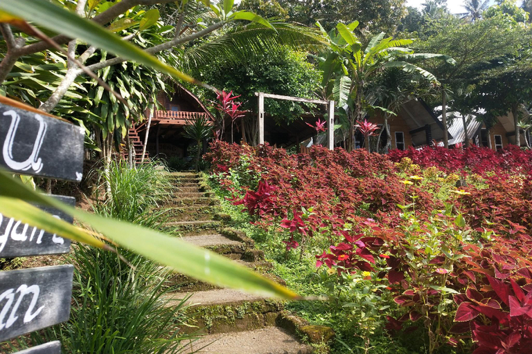 Others 4, SPOT ON 93511 Rinjana Homestay, Lombok