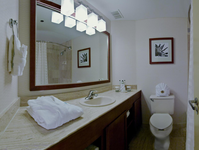 Bathroom 3, Embassy Suites by Hilton San Antonio Airport, Bexar