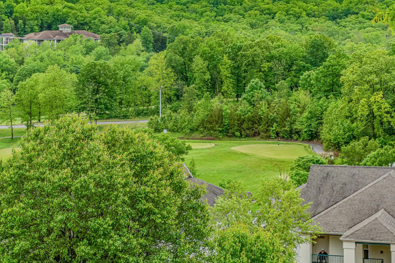 Thousand Hills Foothills F-6, Taney