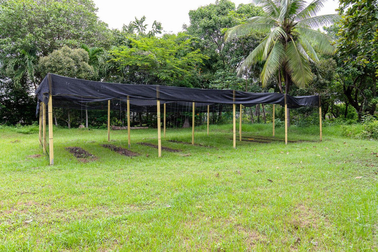 Others 2, Hostal Campomar, Juan de Acosta