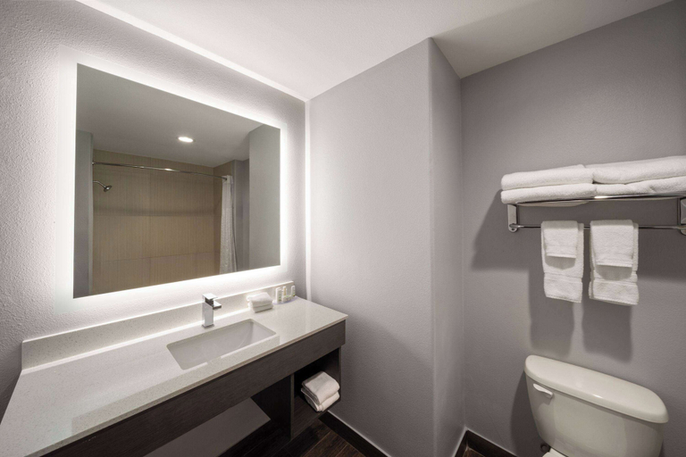 Bathroom 4, La Quinta Inn & Suites by Wyndham McAlester, Pittsburg