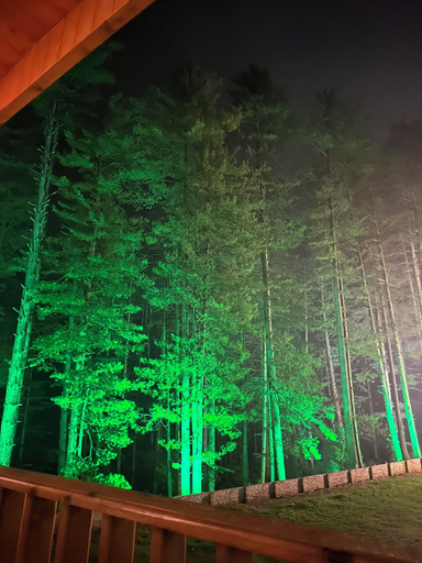 Exterior & Views 2, Hotel Pine Heritage, Doda