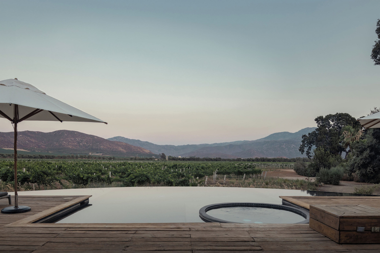 Sport & Beauty 2, Bruma Wine Resort, Ensenada